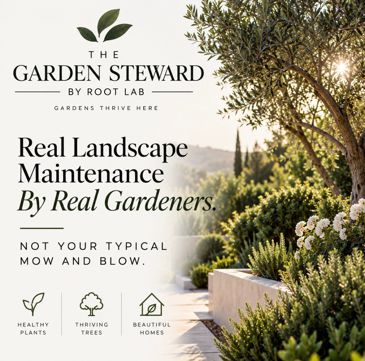 The Essential Steward