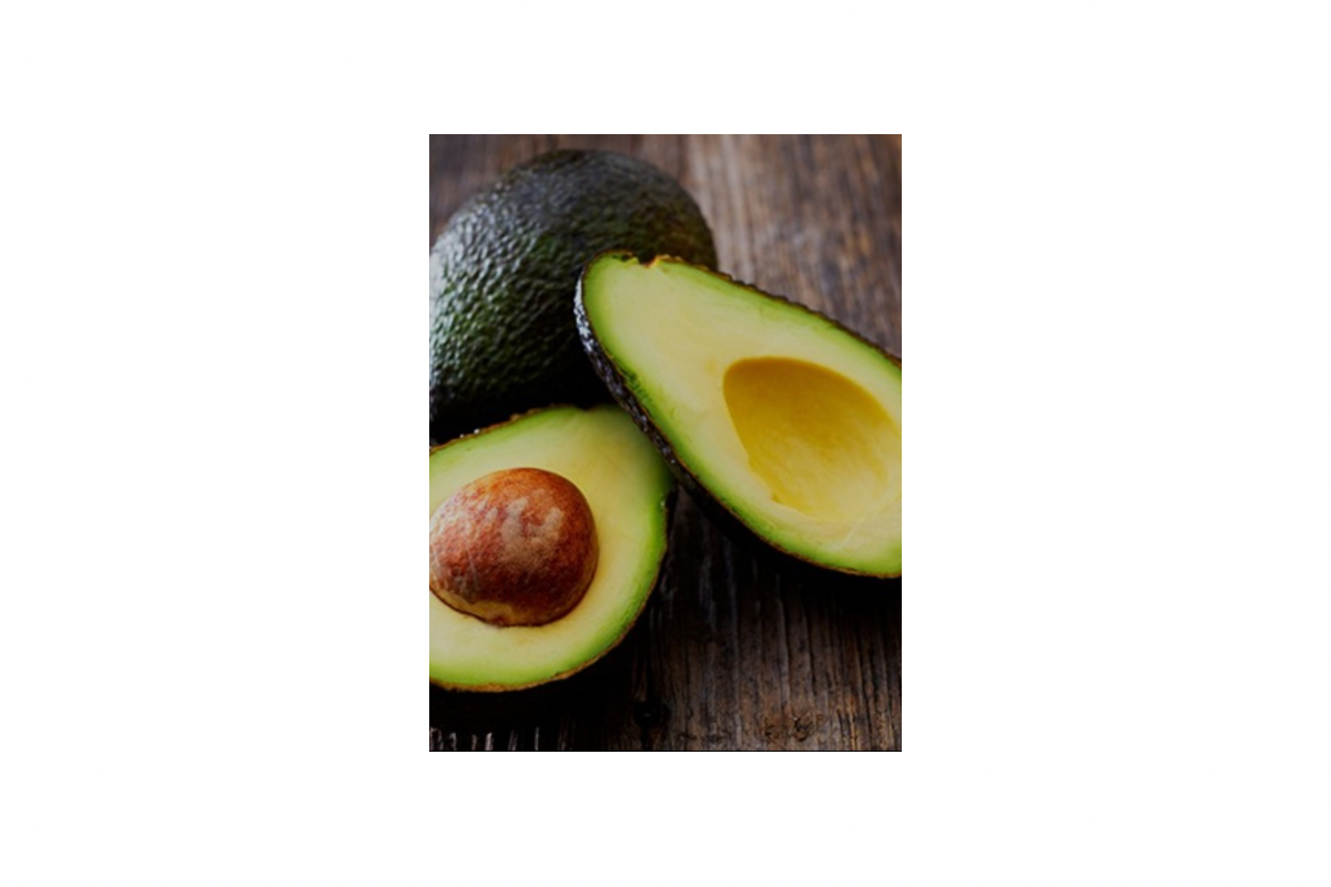 Avocado Trees – Root Lab Growers
