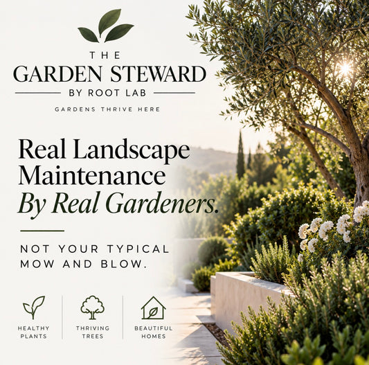 The Essential Steward